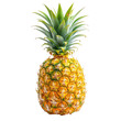© CALMANDRELAX STUDIO - Vibrant yellow pineapple with green leaves isolated on white background, showcasing tropical fruit freshness and juicy texture.