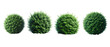 © Ken - Set of A dense green bush with lush foliage isolated on transparent