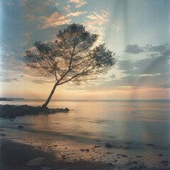 Aufkleber - A tree is standing in the water near the shore