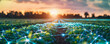 © Slowlifetrader - Smart agriculture technology concept, using modern technology and big data to increase efficiency and productivity, a field of crops or farm with grid line digital connection