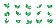 © Urwah - Green leaves flat bio organic eco leaf icon set of collection