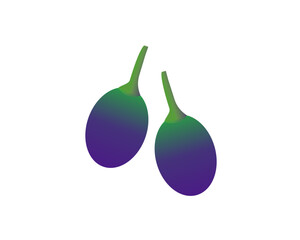 set of two simple vector grapes with 3d effect, isolated on a transparent background - grape illustr