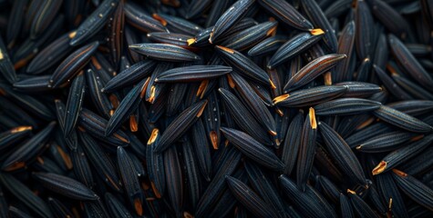 A close up of black and orange pine nuts.
