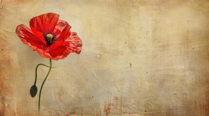 Wall Mural - Red poppy on vintage textured paper background