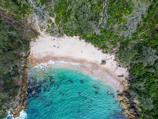 Wall Mural - top down view of empty secluded beach surrounded by shallow turquoise blue water and dense treeline.