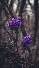 Gothic fantasy dark background surrounded by dry branches thorns ivy and purple flowers Black old wo