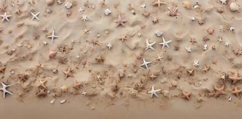 Wall Mural - beach texture with starfish and shells on the sand