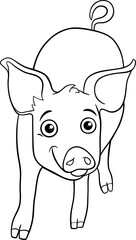 Canvas Print - cartoon funny piglet farm animal character coloring page