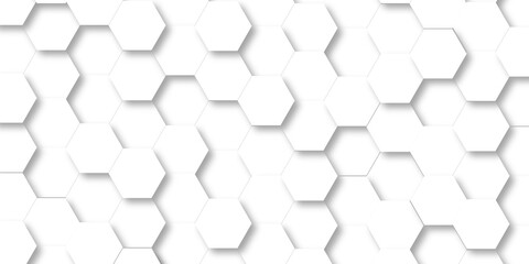 Canvas Print - White Hexagonal Background. Luxury White Pattern. wallpaper Illustration. Futuristic abstract honeycomb mosaic white background. geometric mesh cell texture. modern futuristic wallpaper.