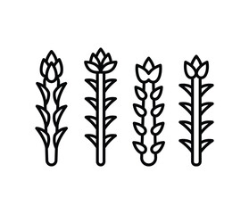 asparagus icons symbol vector design black white color line illustration collection sets