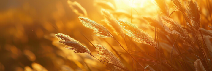 Wall Mural - grass flower on sunset sky background. summer and nature concept. generative ai.