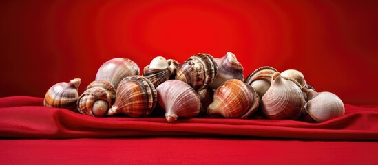 Aufkleber - Heap of assorted shells resting on a vibrant red tablecloth. with copy space image. Place for adding text or design