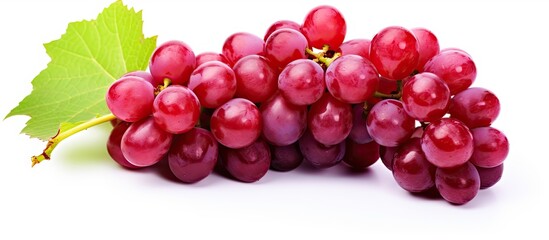 Fototapete - Close-up view of a cluster of red grapes along with a leaf, isolated on a white background. with copy space image. Place for adding text or design