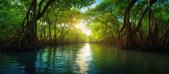 Poster - Abundant Pak Nam Prasae Mangrove Forest, covering 6,000 rai, is a thriving ecosystem in the eastern region. with copy space image. Place for adding text or design