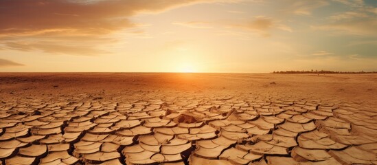 Poster - Barren desert landscape under a setting sun with cracked earth, depicting drought and ecological disaster. with copy space image. Place for adding text or design