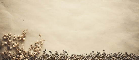 Fototapete - Assorted dried flowers resting on a sheet of paper, against an old textured surface scattered with lentils. with copy space image. Place for adding text or design