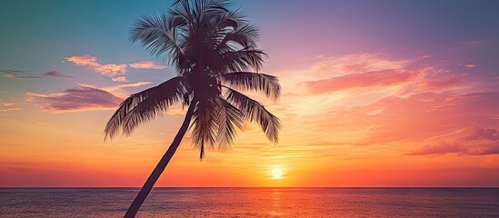 Poster - Solitary palm tree standing on the sandy beach under the beautiful dusk sky. with copy space image. Place for adding text or design