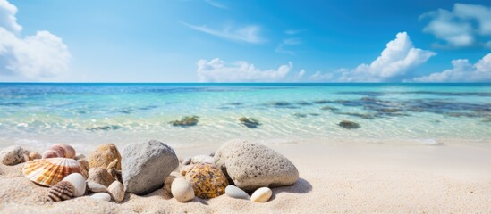 Wall Mural - Rocks, shells, and corals scattered on sandy tropical beach under the sun. with copy space image. Place for adding text or design