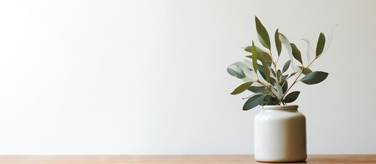 Poster - Plants in vase sit on the table alongside eucalyptus leaves arranged near an empty jar. with copy space image. Place for adding text or design