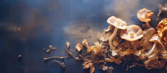 Aufkleber - Assorted mushrooms growing naturally on the earthy ground in a forest setting. with copy space image. Place for adding text or design