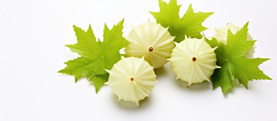 Aufkleber - Three white flowers with green leaves arranged on a white background contrast beautifully. with copy space image. Place for adding text or design