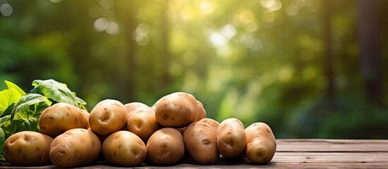 Poster - Potatoes and leafy greens arranged closely on a rustic wooden table, creating a vibrant and fresh farm-to-table scene. with copy space image. Place for adding text or design