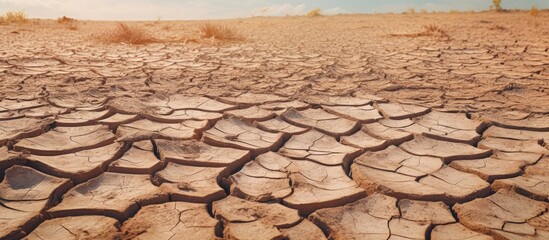 Poster - Dry, cracked ground under a clear blue sky, indicating the impact of drought on the landscape. with copy space image. Place for adding text or design