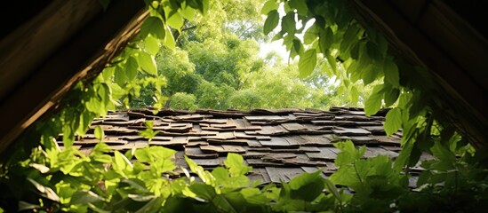 Poster - Wooden shingled roof of an old house peeking through tree foliage, with attic window visible. with copy space image. Place for adding text or design