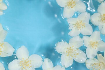 Wall Mural - Beautiful jasmine flowers in water on light blue background, top view. Space for text