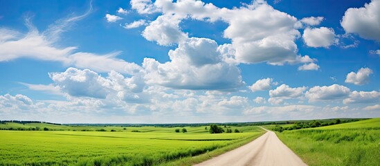 Aufkleber - A winding dirt road cuts through a vibrant green field under a clear, bright blue sky, creating a picturesque rural scene. with copy space image. Place for adding text or design