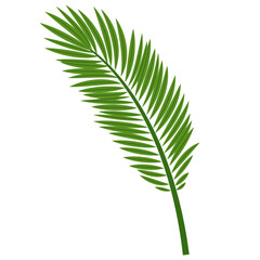 Wall Mural - Foliage Single Green Leaf Plant, Vector Design Element Tropical Leaves