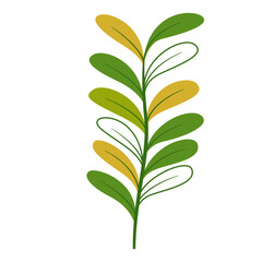 Wall Mural - Greenery Tropical Leaf Plant, Decorative Element Design 