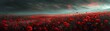 © ธนากร บัวพรหม - Field of red poppies under a dramatic sky, moody, dark tones, digital painting 8K , high-resolution, ultra HD,up32K HD