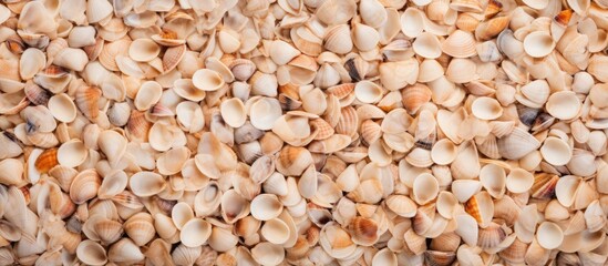 Aufkleber - Close-up view of various seashells stacked on a table surface, creating a natural and textured arrangement. with copy space image. Place for adding text or design
