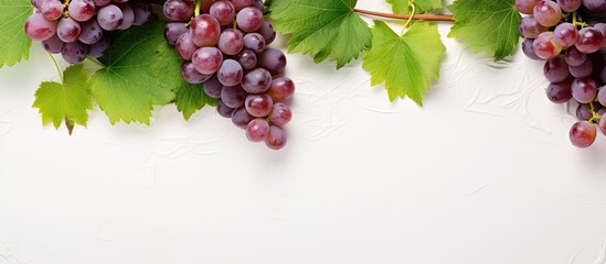 Poster - Ripe grapes surrounded by vibrant green leaves, hanging from a vine in a lush vineyard. with copy space image. Place for adding text or design