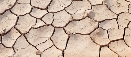 Poster - Dry and cracked surface showing deep cracks in a barren wasteland. with copy space image. Place for adding text or design