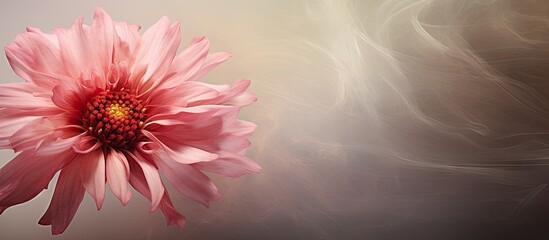 Poster - Delicate pink blossom displayed in a glassy vessel resting upon a flat surface, resembling fine, sleek paper. with copy space image. Place for adding text or design