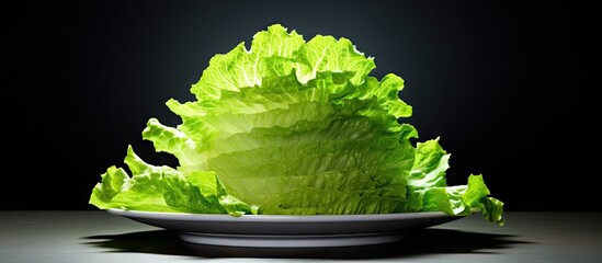 Aufkleber - Plate with green lettuce, part of a balanced diet for proper nutrition and a healthy figure. with copy space image. Place for adding text or design