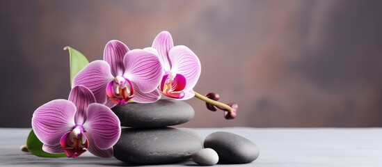 Poster - Purple orchids and smooth stones arranged on a table against a brown background, creating a serene spa ambiance. with copy space image. Place for adding text or design