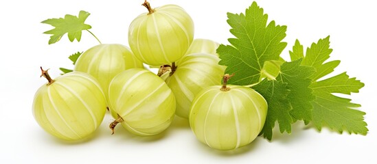 Poster - Close-up view of a bunch of ripe green gooseberries with attached leaves. with copy space image. Place for adding text or design
