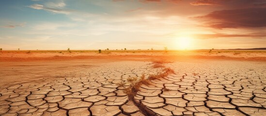 Poster - Barren desert landscape showing sun setting over parched, cracked earth illustrating drought and desertification. with copy space image. Place for adding text or design