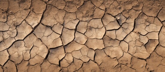 Poster - Close up of a cracked wall with a small plant sprouting from it, set against a barren wasteland background with deep focus. with copy space image. Place for adding text or design