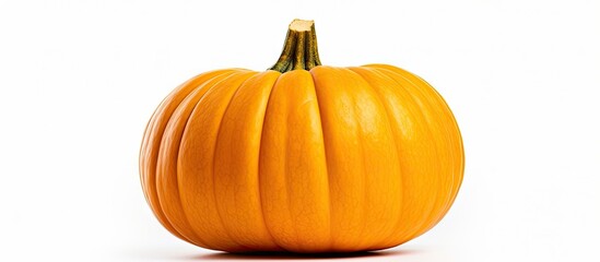 Poster - A tiny orange pumpkin sits on a plain white surface, creating a simple and minimalist image. with copy space image. Place for adding text or design