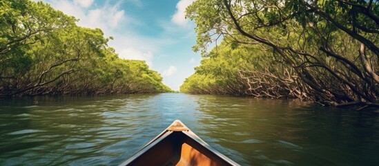 Fototapete - Boat gracefully navigating through a river surrounded by lush green trees in a serene mangrove forest. with copy space image. Place for adding text or design