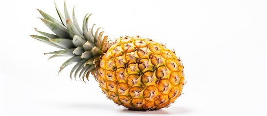 Wall Mural - Ripe pineapple fruit placed on a plain white background. with copy space image. Place for adding text or design