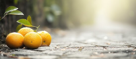 Poster - Ripe, fresh oranges lying on the ground near a tree. with copy space image. Place for adding text or design