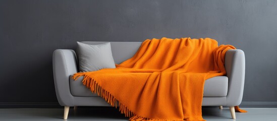 Poster - A cozy grey sofa adorned with a blanket and a pillow on the armrest in a modern living room setting. with copy space image. Place for adding text or design