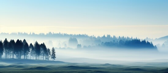 Wall Mural - Veiled in mist, trees stand in a countryside shrouded in morning haze. with copy space image. Place for adding text or design