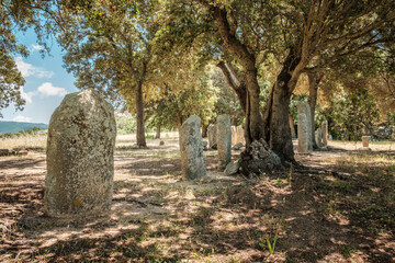 Wall Mural - Prehistoric standing stones or Menhirs at Cauria in Corsica