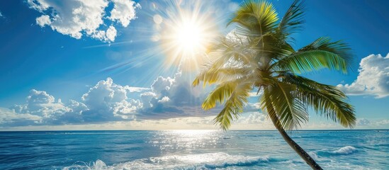 Wall Mural - Stunning ocean vista featuring a palm tree under a radiant sun
